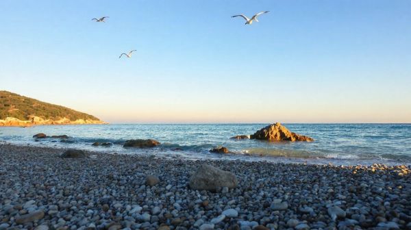 Découvrez les plaisirs du camping les galets à argelès-sur-mer
